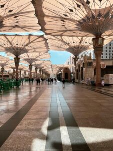 rekomendasi	umroh backpacker	terdaftar kemenag	dari 
Dharmasraya